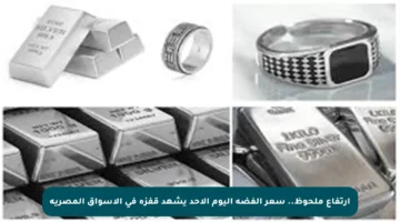 ارتفاع ملحوظ.. سعر الفضة اليوم الأحد يشهد قفزة في الأسواق المصرية